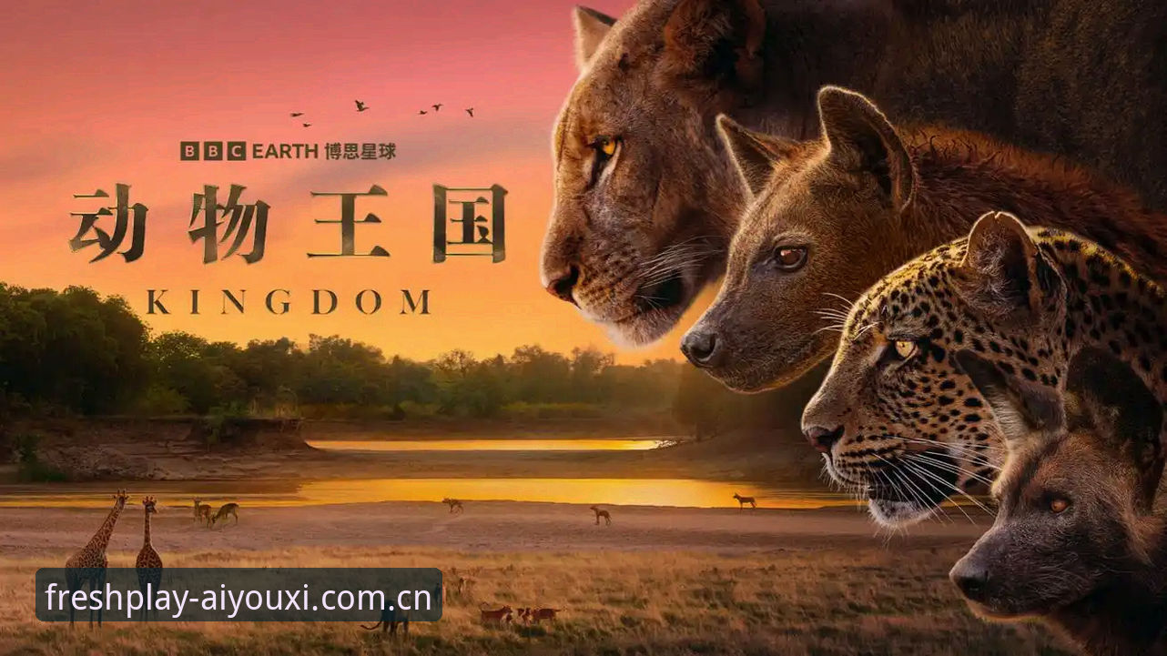 八年老用户分享索斯盖特BBC纪录片观后感：在爱游戏V3.4里看懂“男性圈层”